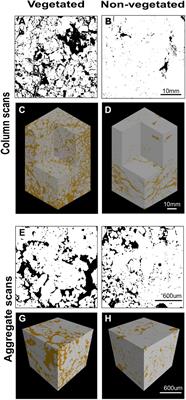 Shifts in Soil Structure, Biological, and Functional Diversity Under Long-Term Carbon Deprivation